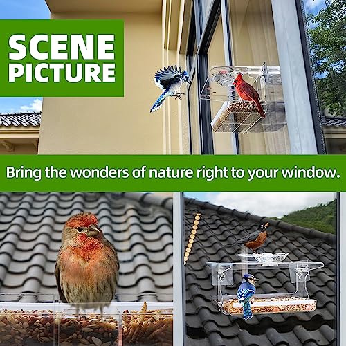 Window Bird Feeder with Non-Marking Self-Adhesive Hooks, Clear and Transparent, Outdoor Wild Bird Watching Gif - view 7
