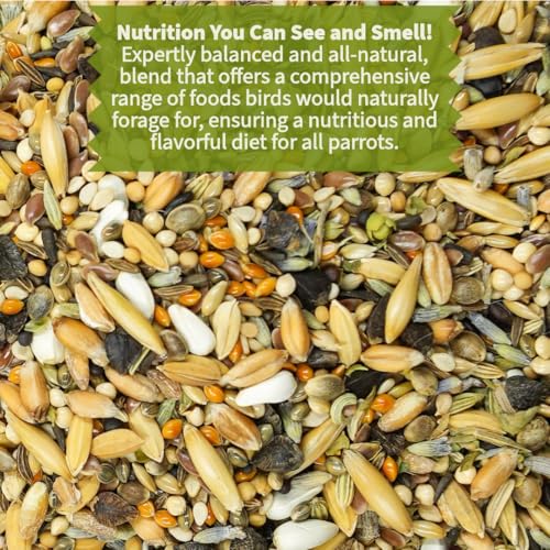 Premium Parrot Food| Protein-Rich Low-Fat Formula | Cockatiel, Conure, Lovebird, Quaker, Parrotlet | No Corn,  - view 3