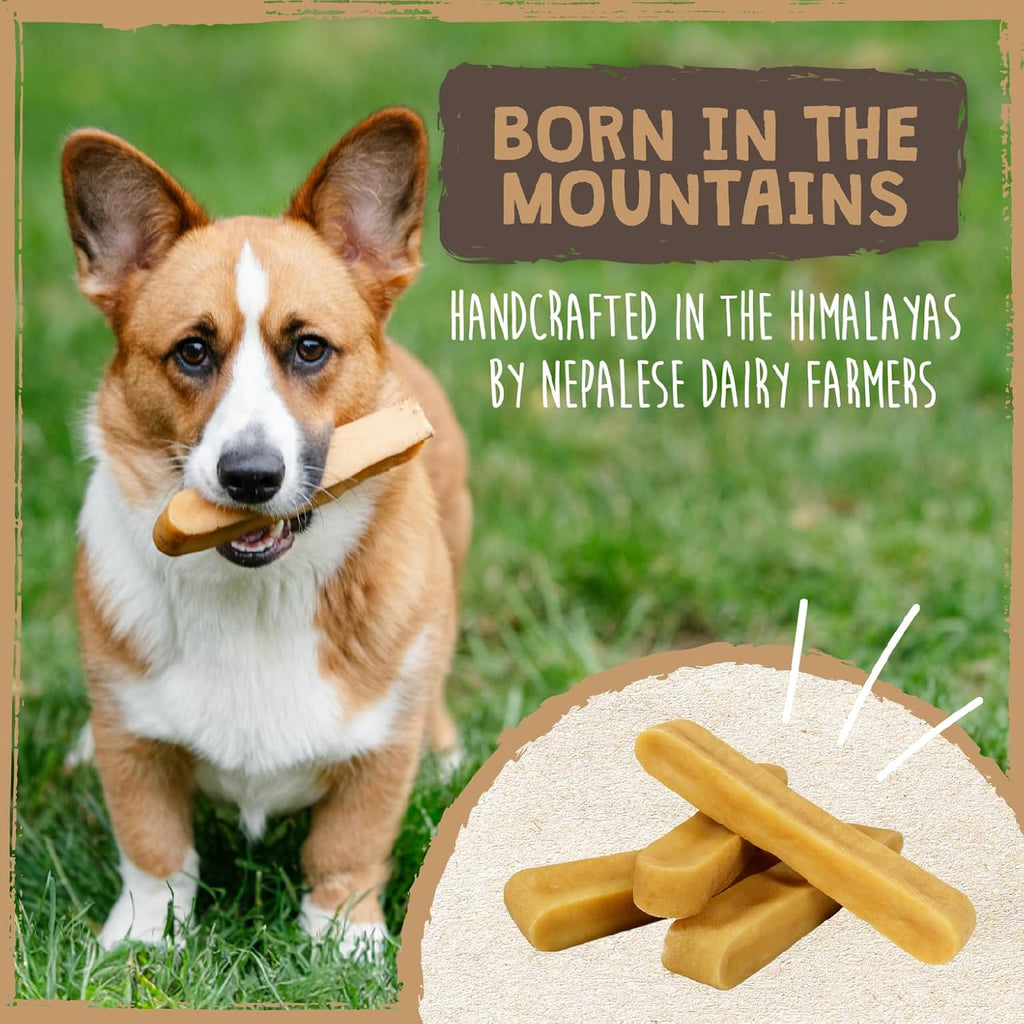 Mighty Paw Yak Cheese Dog Chews – All-Natural Long Lasting Hard Chew for Aggressive Chewers – High Protein, Od - view 6