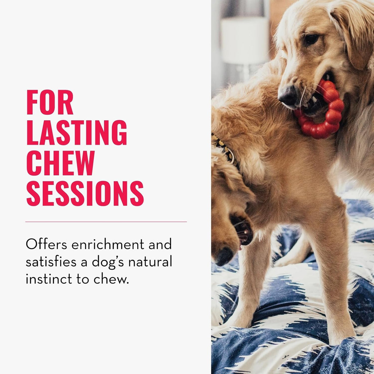 KONG Ring - Natural Rubber Ring Toy for Healthy Chewing Habits - Chew Toy Supports Dog Dental Health - Dog Toy - view 3