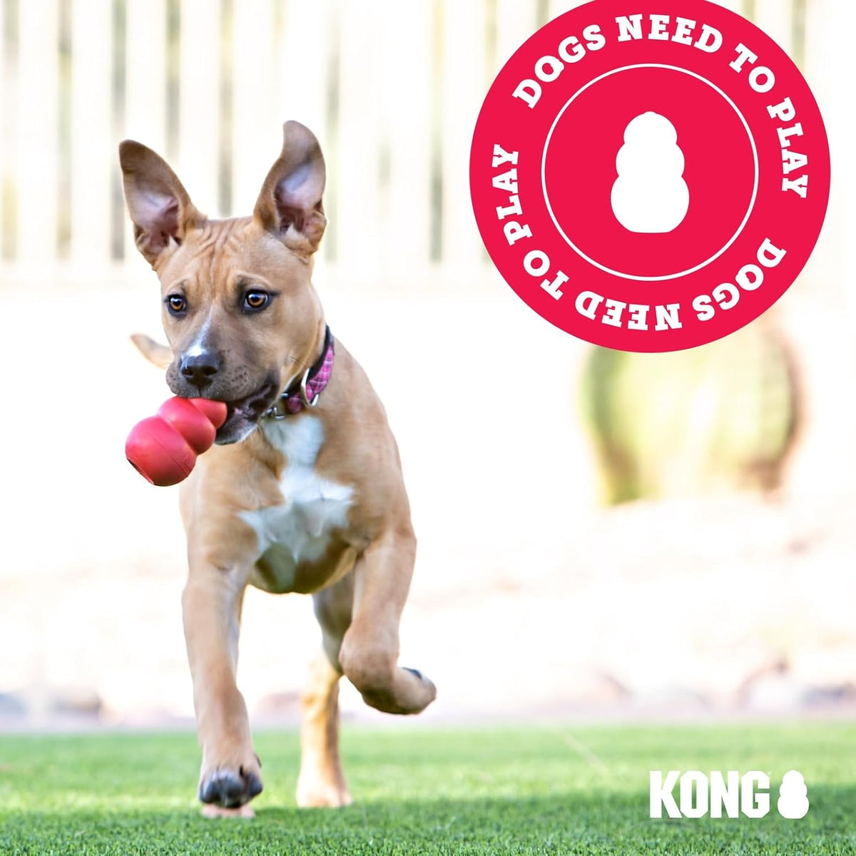 KONG Tug Toy - Dog Supplies for Tug of War - Natural Rubber Dog Toy for Outdoor & Indoor Playtime - for Medium - view 8