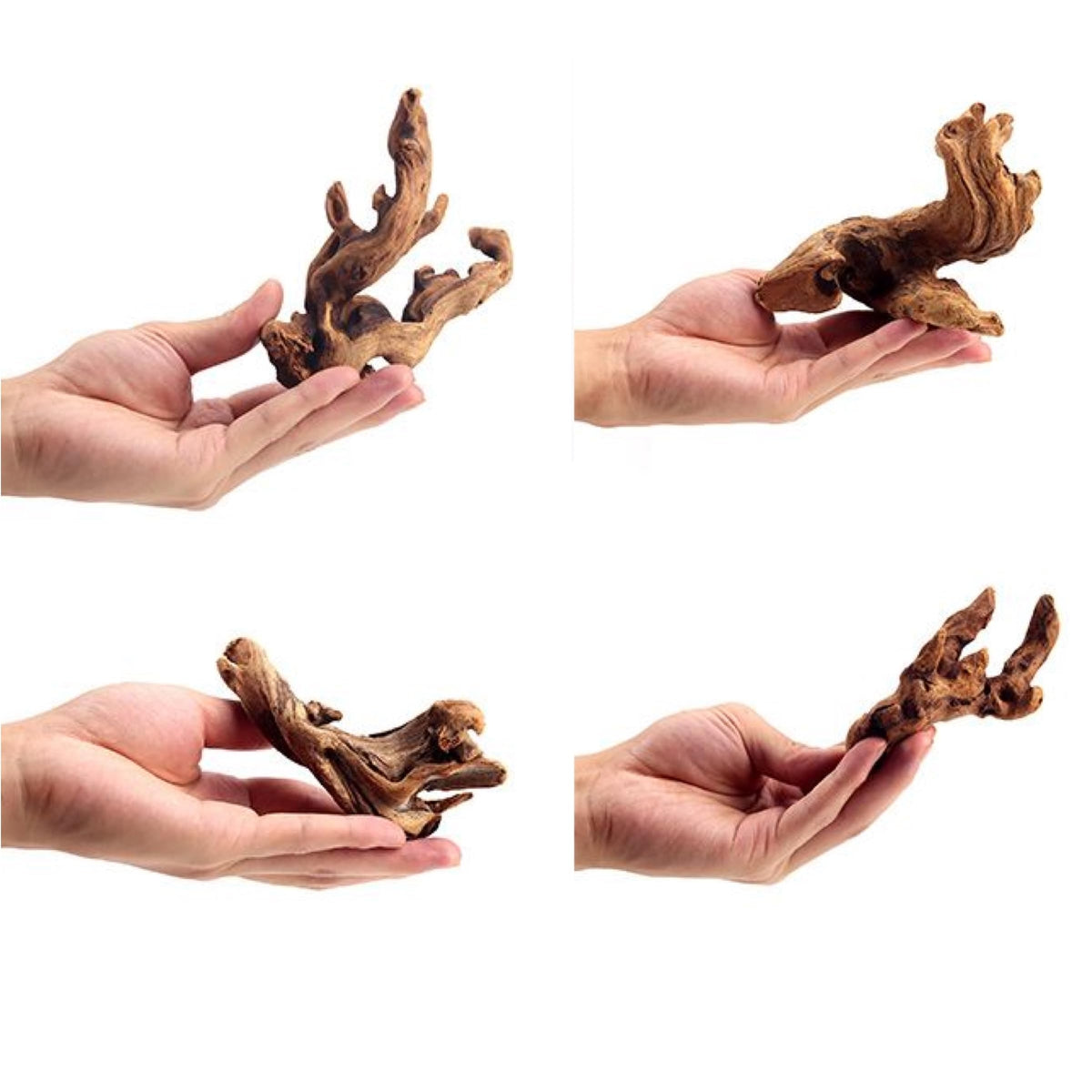 YZHZOM Small Natural Driftwood for Aquarium Styling Carefully Selected Natural Aquarium Decor Driftwood for Re
