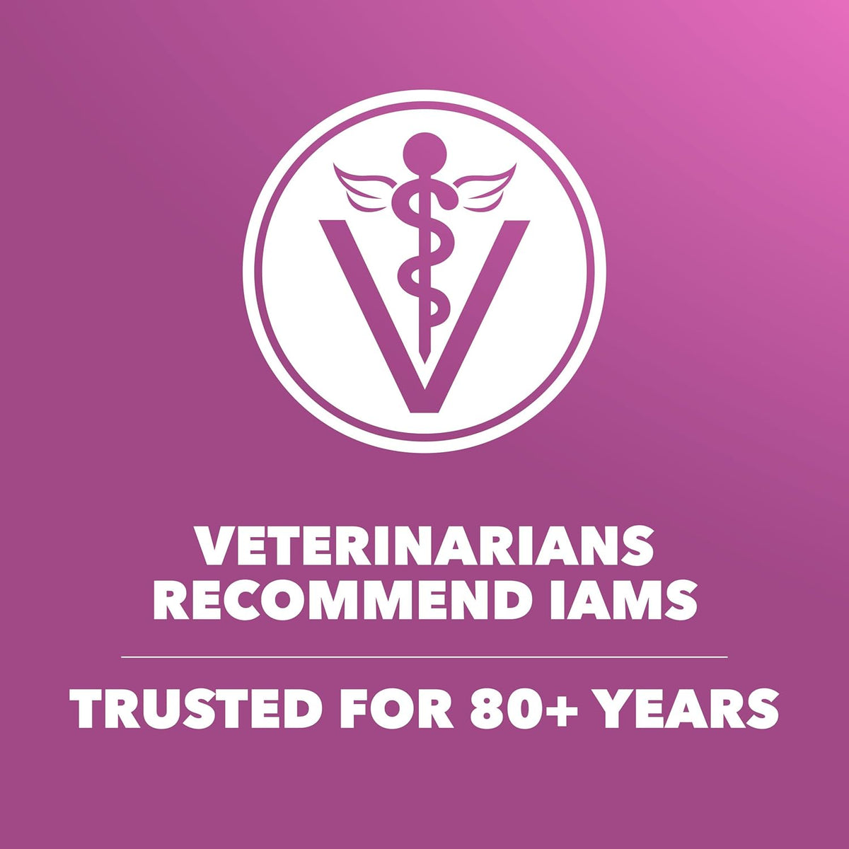 IAMS Proactive Health Healthy Aging Large Breed Dog Food for Mature and Senior Dogs with Real Chicken, 30 lb.  - view 5