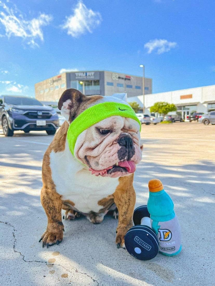 Nestpark Fitness Funny Dog Toys - Doggyade and Doggy Dumbbell Workout Parody Cute Dog Toys - 2 Pack (Workout P - view 3