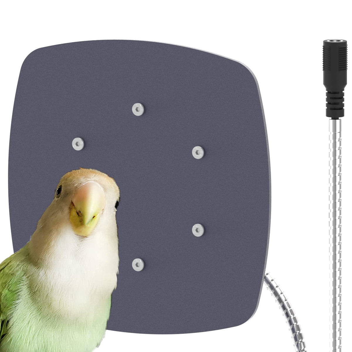 Bird Heater, Thermostatical Bird Warmer for Parakeets, IP67 Waterproof Bird Accessories and Supplies, 12V