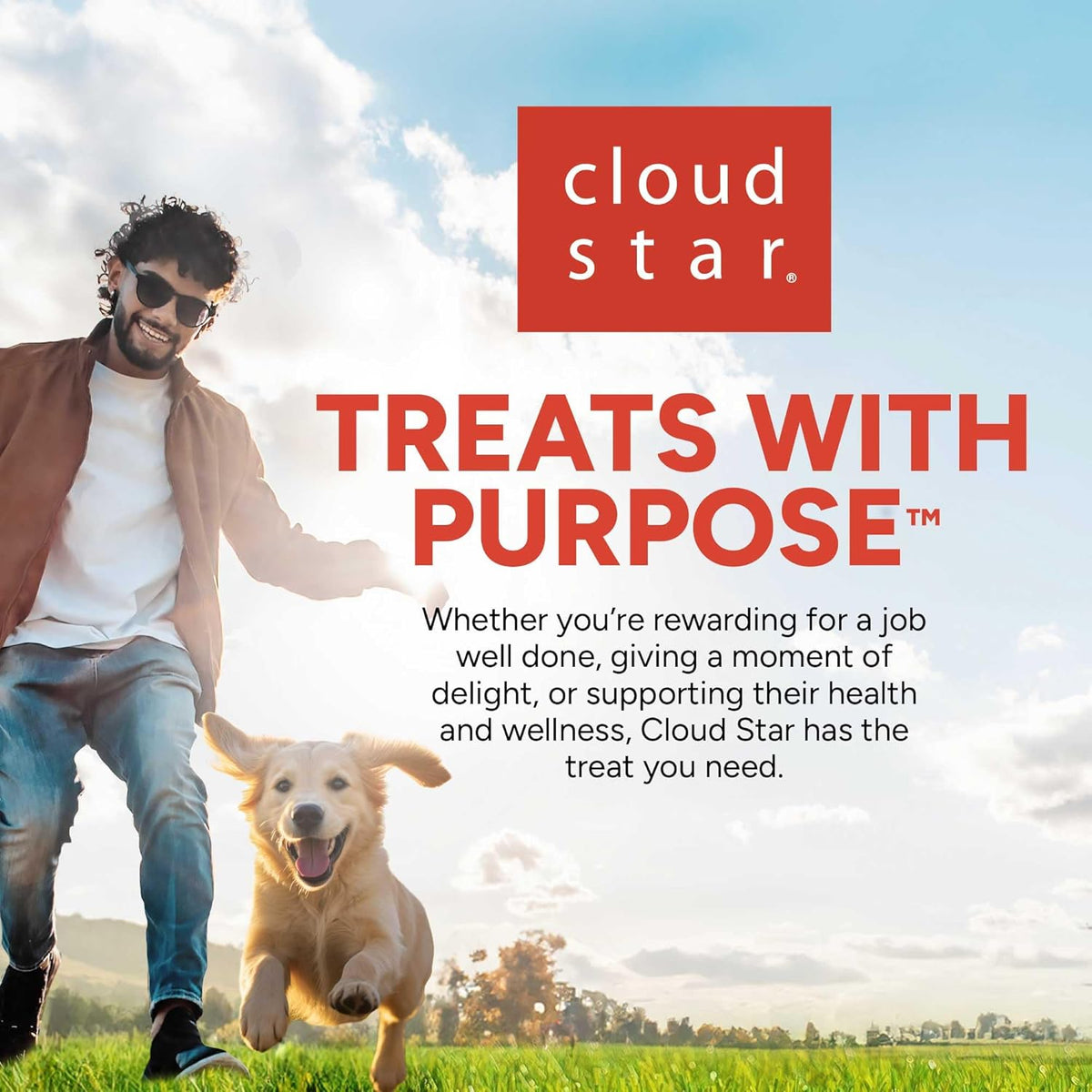 Pet Botanics Training Rewards Treats for Dogs, Made with Real Pork Liver, Focuses, Motivates, Rewards, Speeds  - view 8