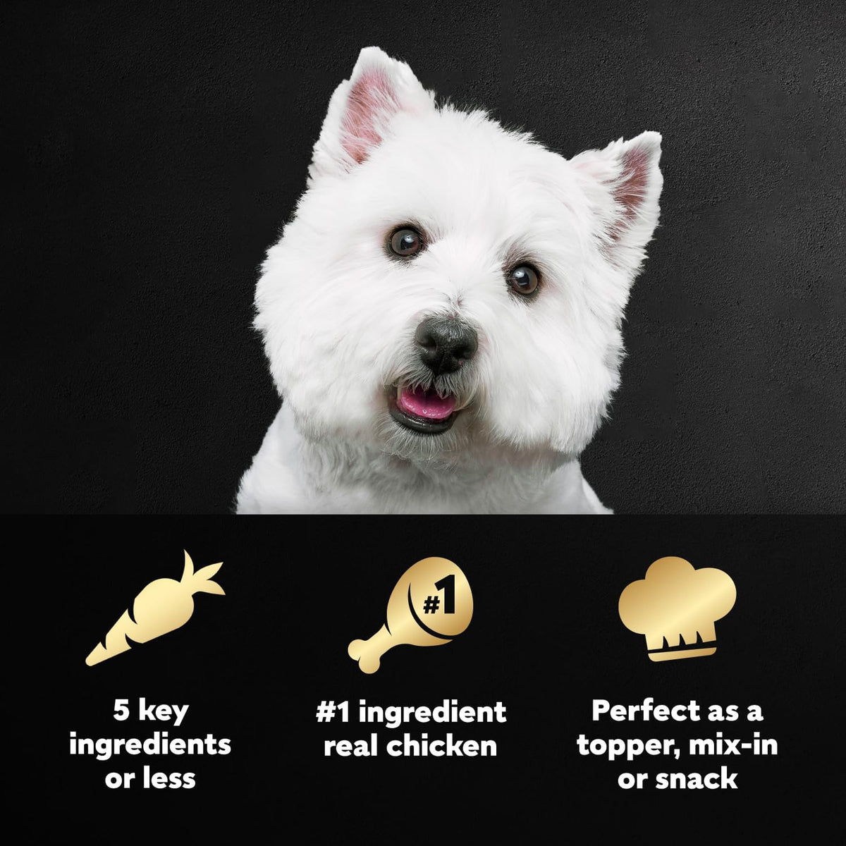 Cesar Simply Crafted Wet Dog Food Toppers for Dry Food, Chicken, Carrots, Potatoes & Peas and Chicken, Sweet P