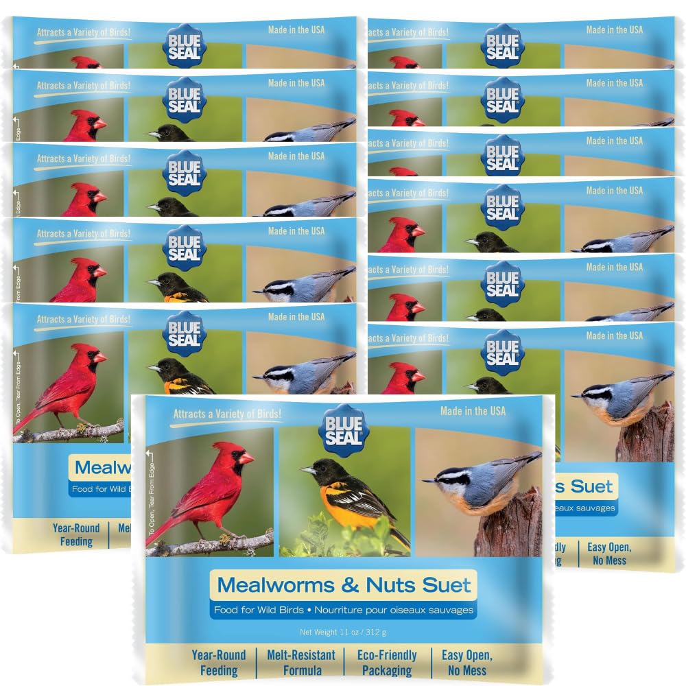Blue Seal Mealworms & Nuts Suet Cakes for Wild Birds - No Mess Suet Feed, Food for Woodpeckers, Cardinals, Sis