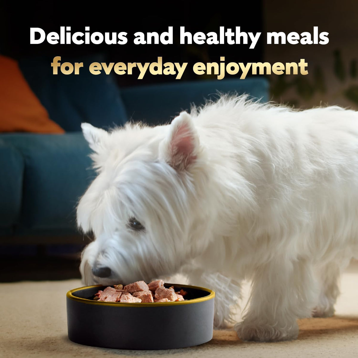 Cesar Wet Dog Food Steak Lovers Variety Pack, Adult, Wet Food for Dogs with Real Meat, 3.5 oz Easy Peel Trays, - view 9