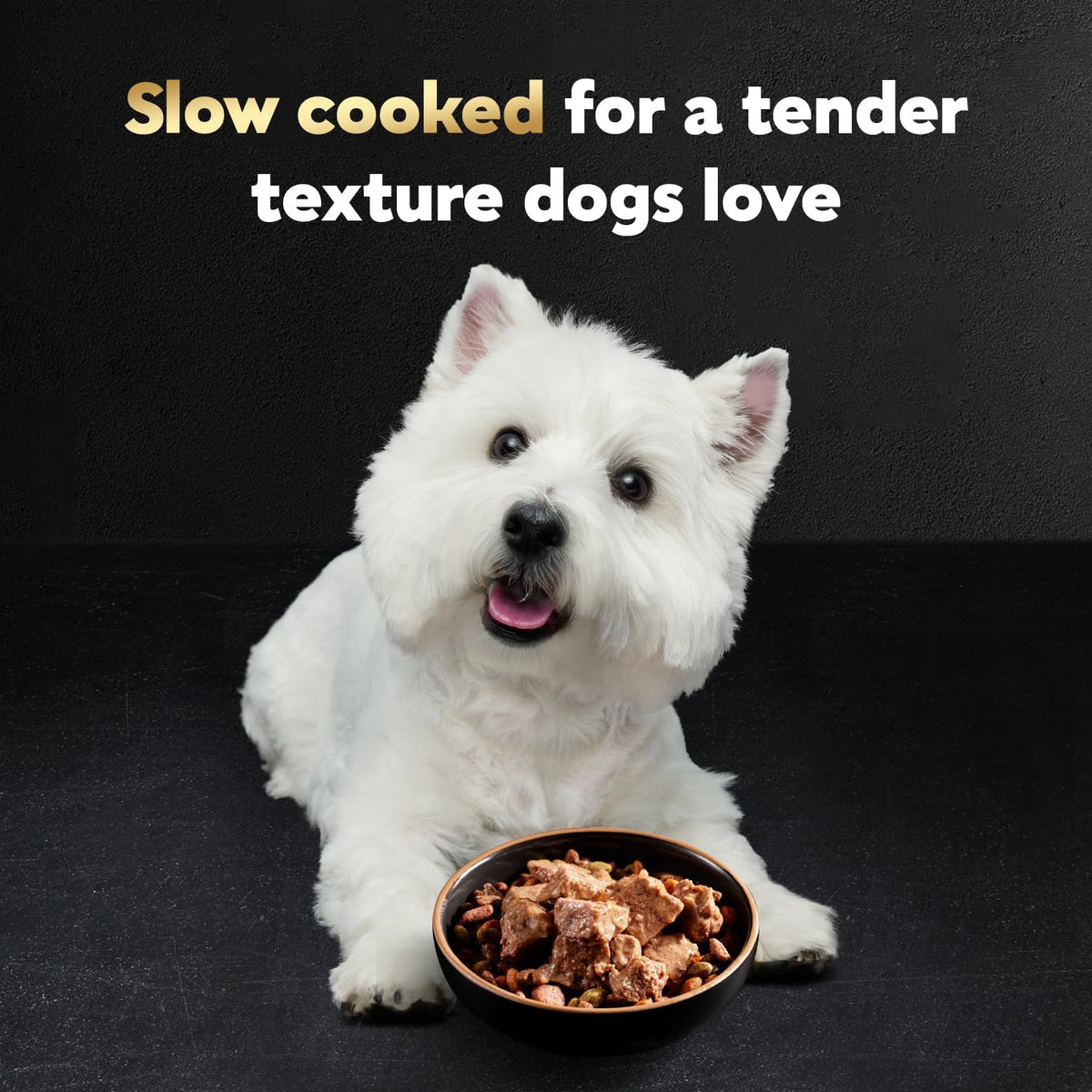 Cesar Wet Dog Food Steak Lovers Variety Pack, Adult, Wet Food for Dogs with Real Meat, 3.5 oz Easy Peel Trays, - view 3