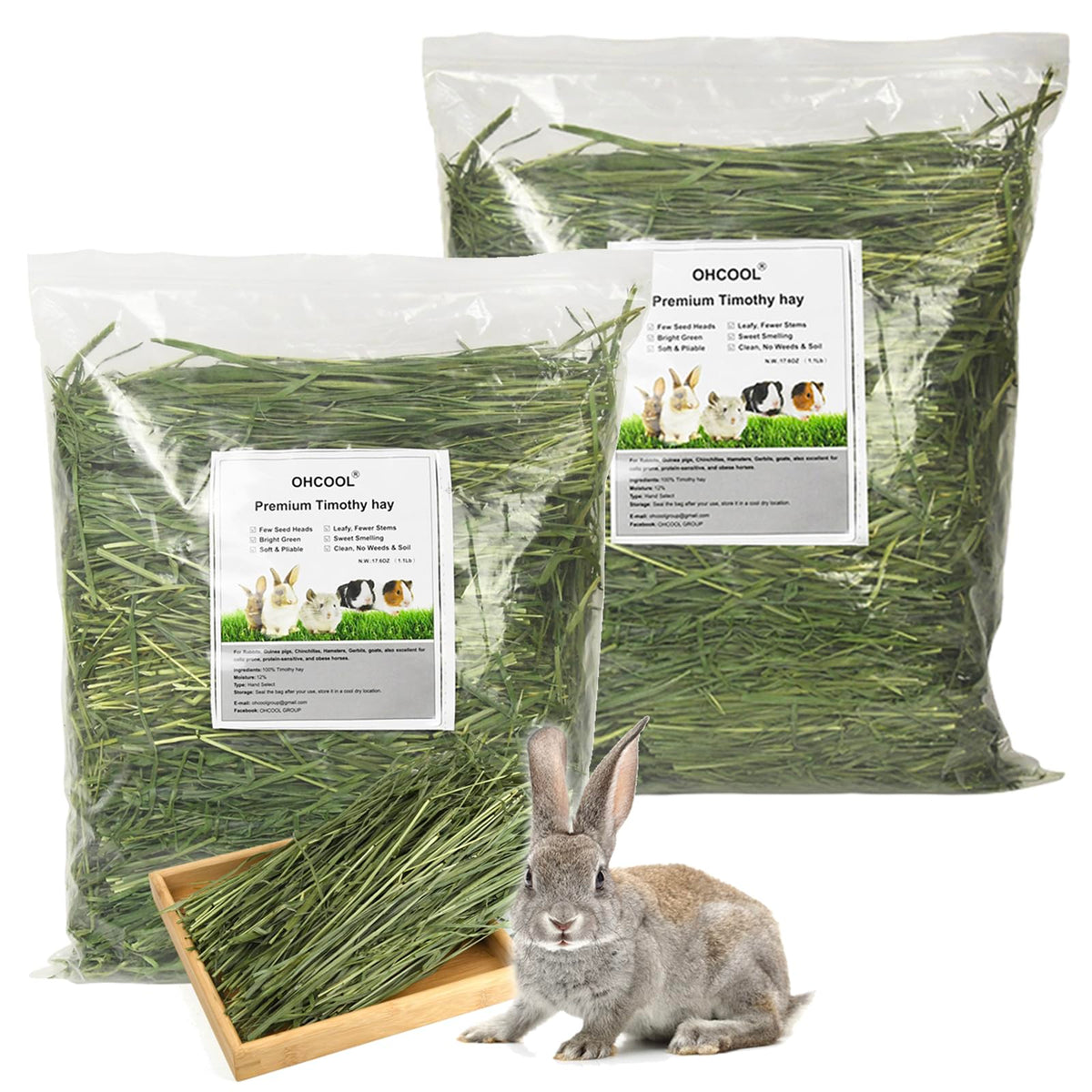 Timothy Hay 2.2LBS - Premium Hay for Rabbits Tortoise Guinea Pig Chinchilla - Dust Free Natural Fresh Hay (1.1