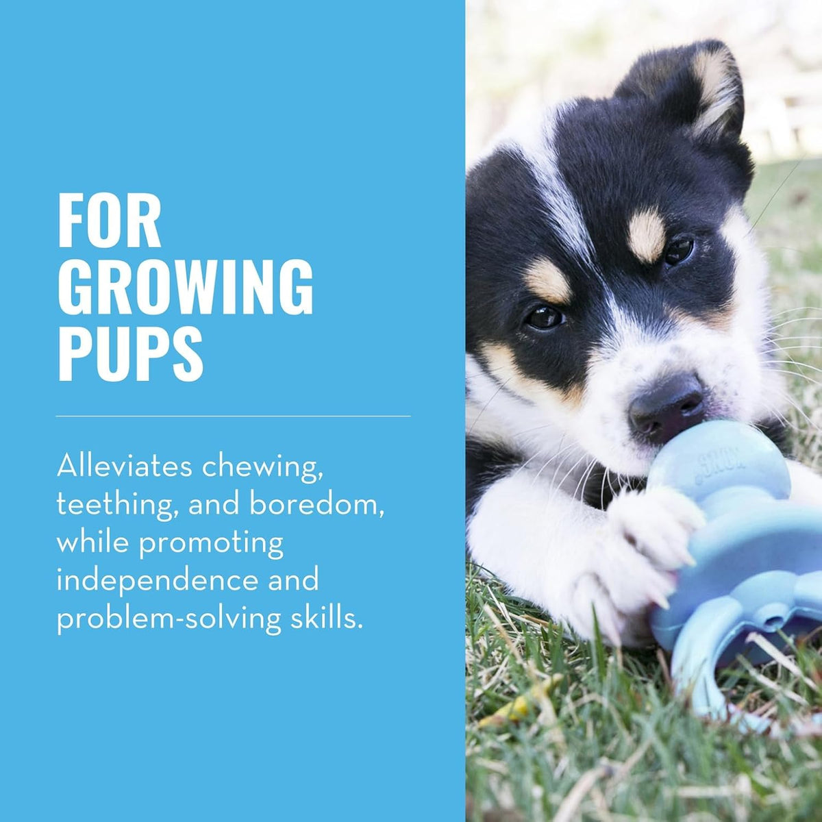 KONG Puppy Binkie - Pacifier Dog Toy for Puppies - Stuffable Treat Chew Toy for Treats - Durable Natural Rubbe - view 2