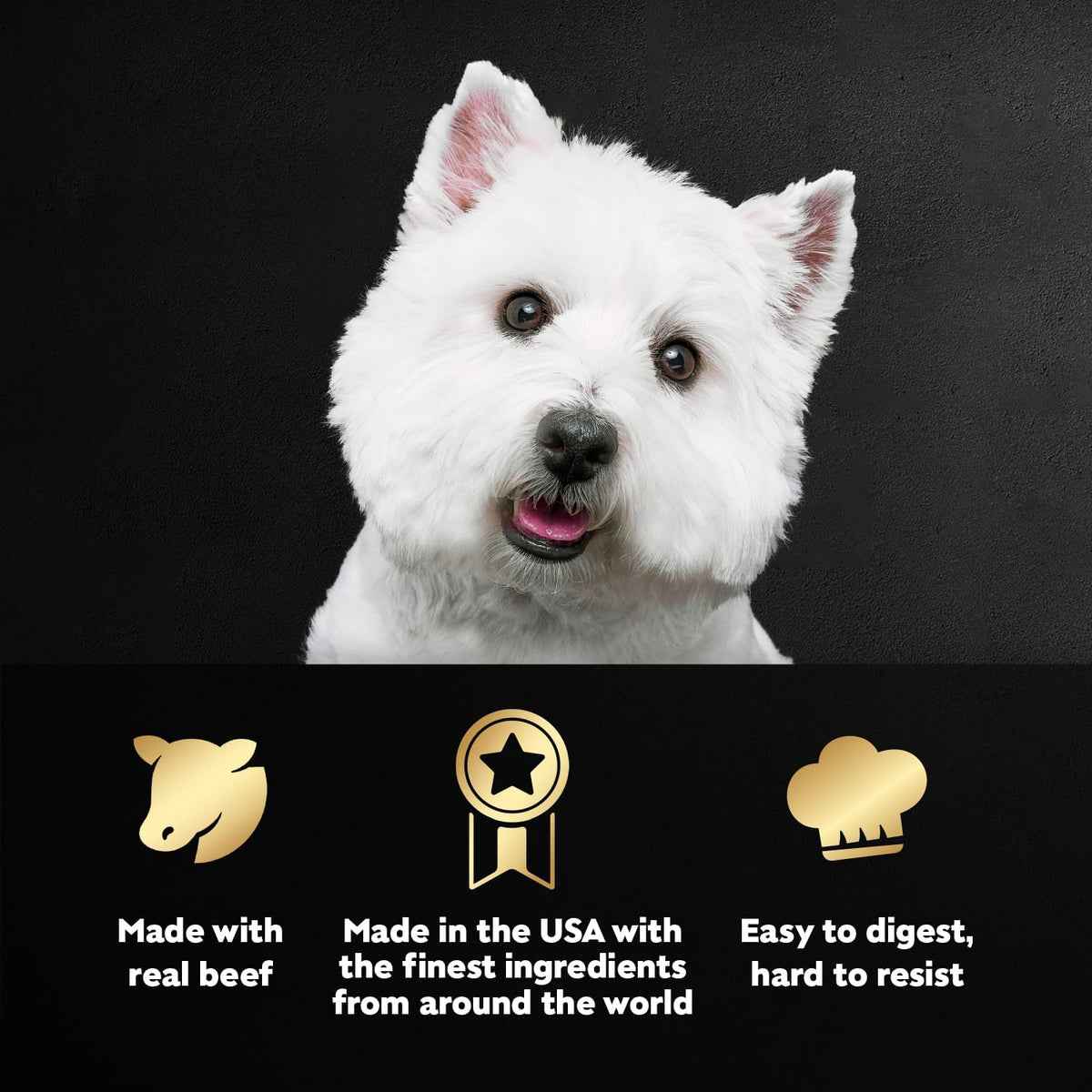 Cesar Filets in Gravy Adult Wet Dog Food Variety Pack, Filet Mignon, New York Strip and Prime Rib Flavors, 3.5 - view 2
