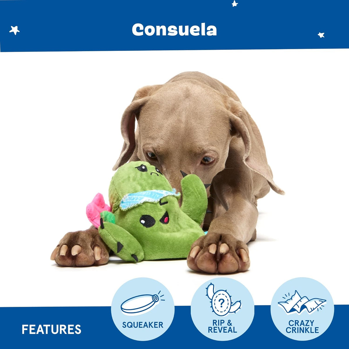 Barkbox Consuela The Cactus 2-in-1 Interactive Plush Dog Toy - Squeaky Dog Chew Toy with Crinkle Layers - for  - view 4