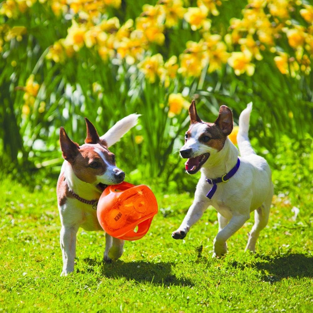 KONG Jumbler Ball - Interactive Toy for Dog & Puppy Playtime - Fetch Toy with Tennis Ball - Dog Supplies for E - view 2