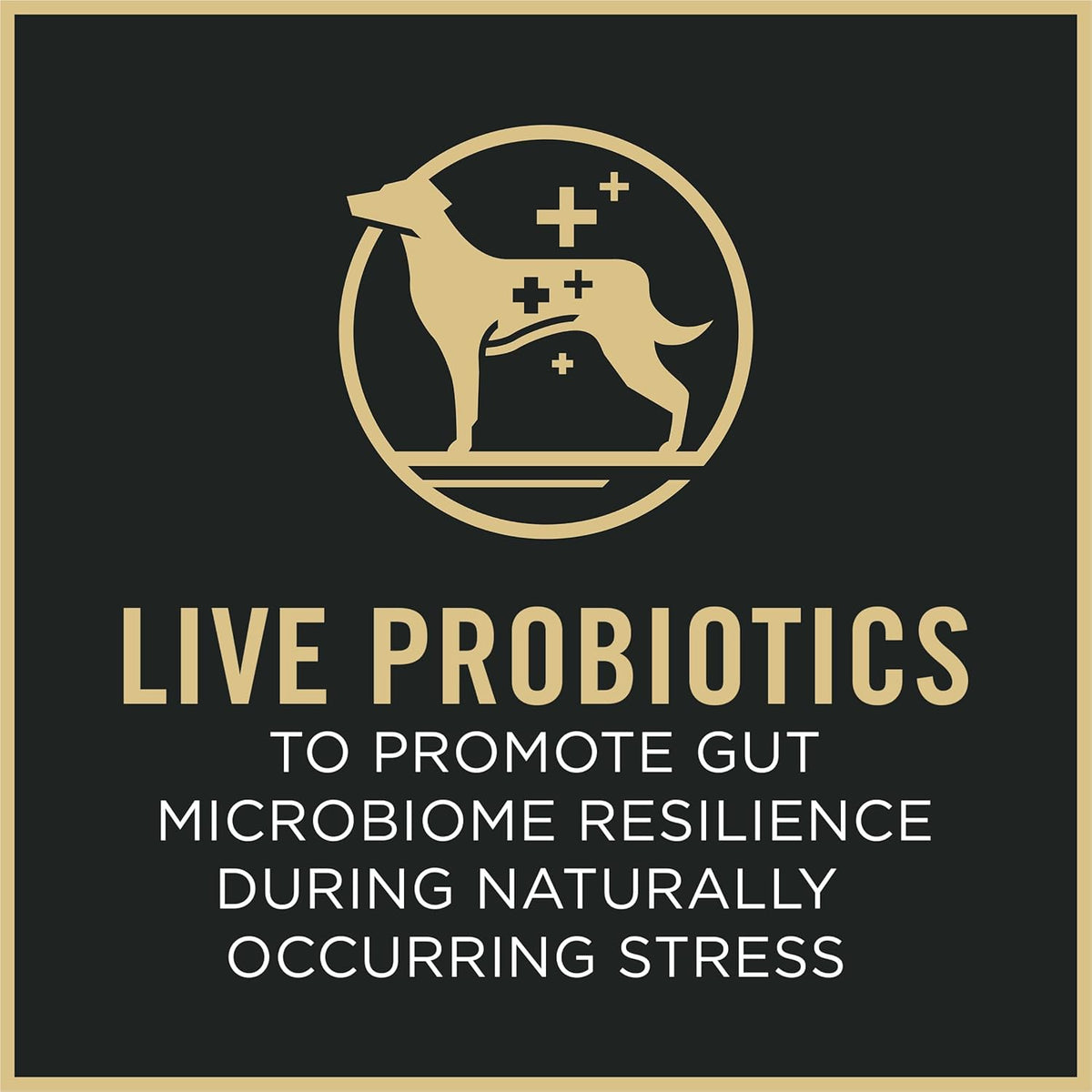 Purina Pro Plan Small Breed Dry Dog Food, Shredded Blend Beef and Rice Formula With Guaranteed Live Probiotics - view 5