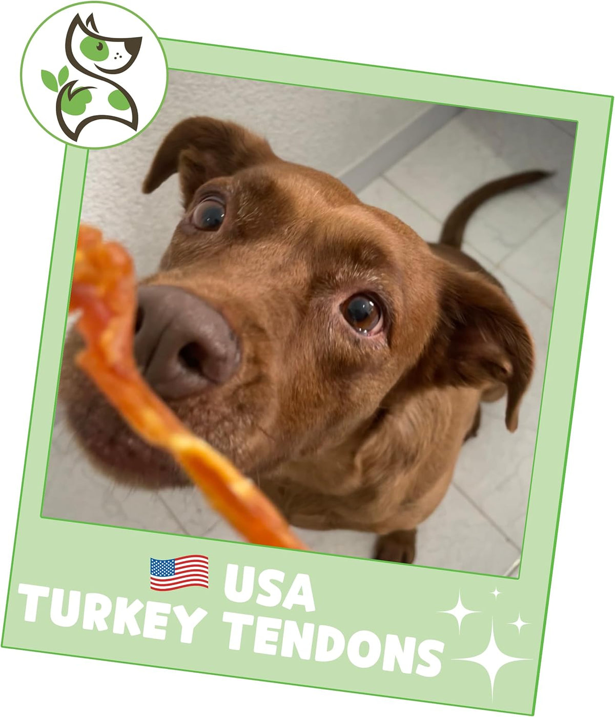 Nature Gnaws USA Turkey Tendons for Dogs (4oz) - Delicious Grain Free Reward Snack for Small, Medium & Large B - view 6