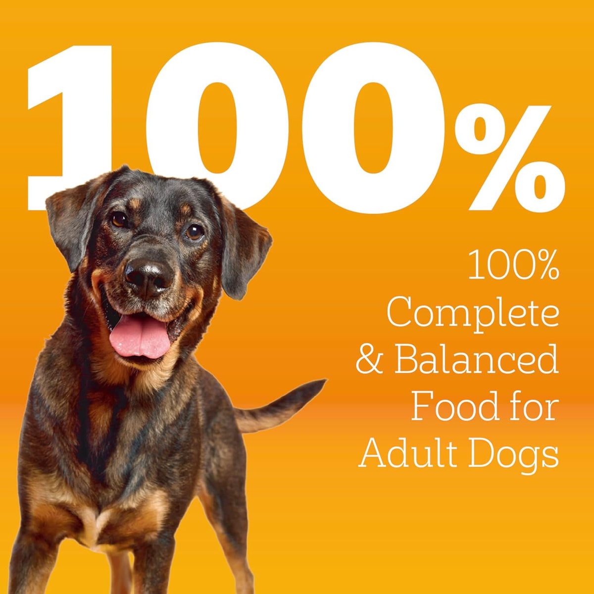 Pedigree High Protein Adult Dry Dog Food, Beef and Lamb Flavor, 18 lb. Bag - view 3