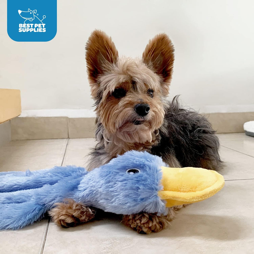 Best Pet Supplies Interactive Squeaky Dog Chew Toy, Ideal Dog Toys for Chewers, Small, Medium & Large Dogs, an - view 5