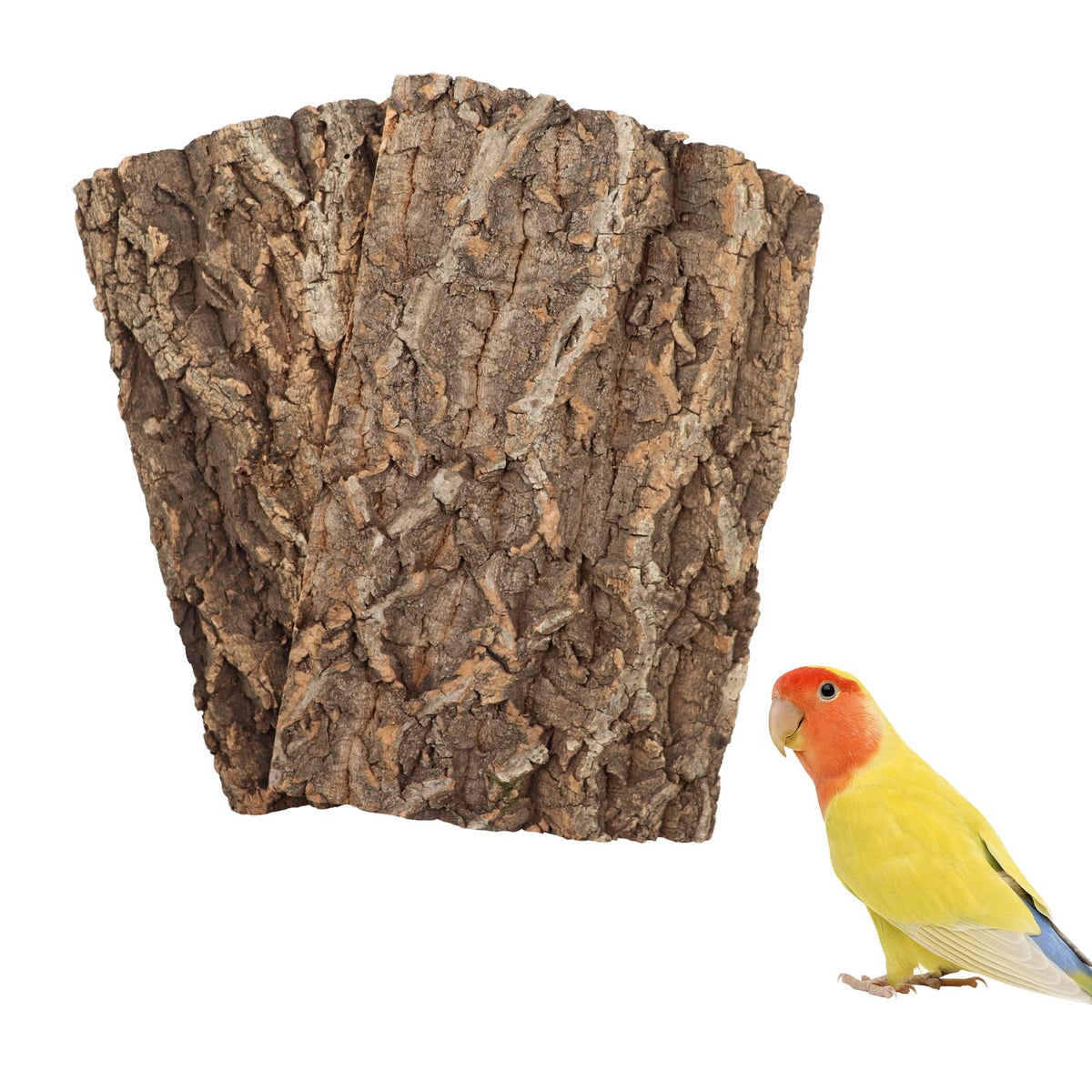 2 Pack 12 x 8 Inch 100% Natural Cork Perch, Bird Cork Seat Boards, Birdcage Bark Decor Accessories for Birds P