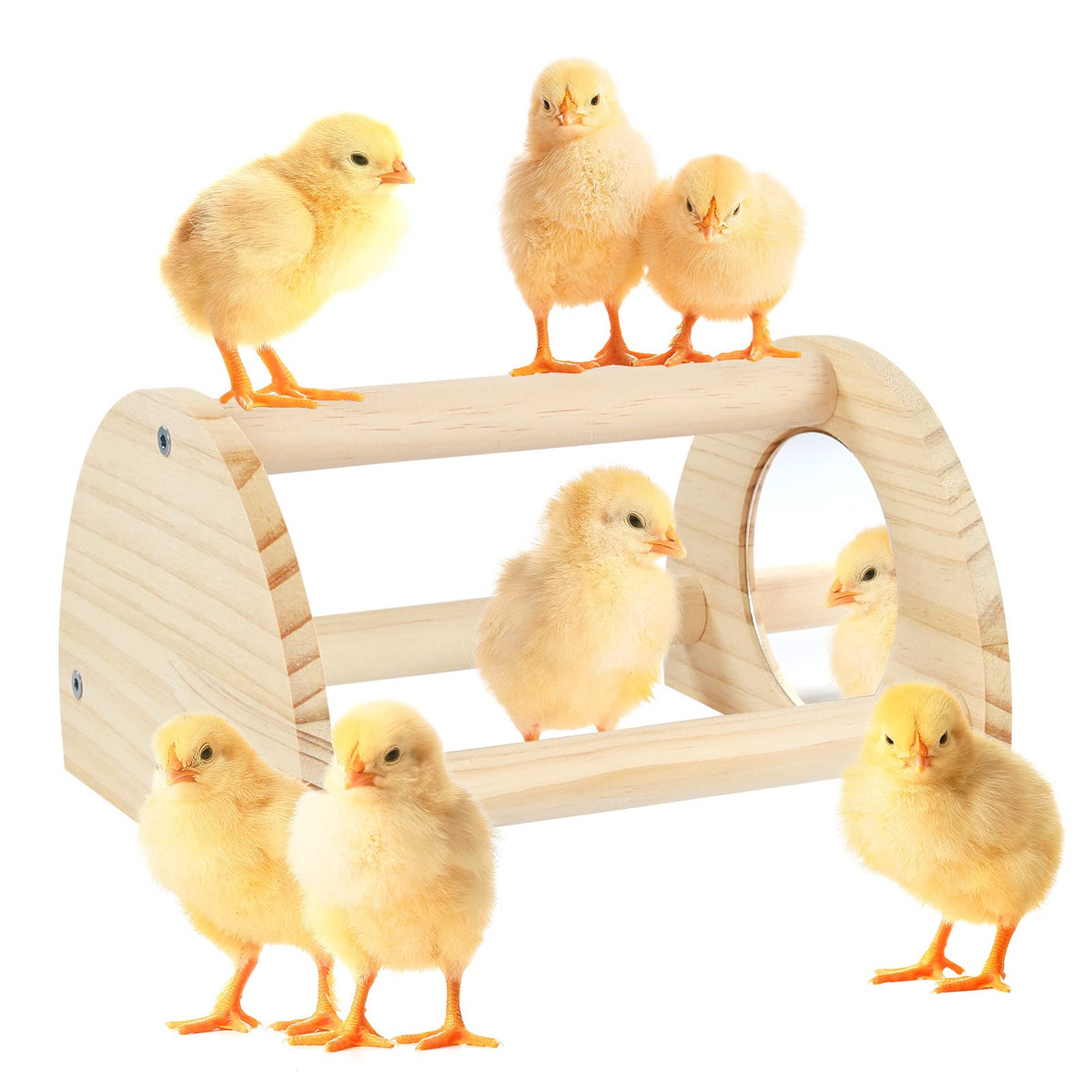 Pine Chicken Perch with Mirror, Strong Chick Jungle Gym Roosting Bar, Chicken Toys for Coop and Brooder, Train