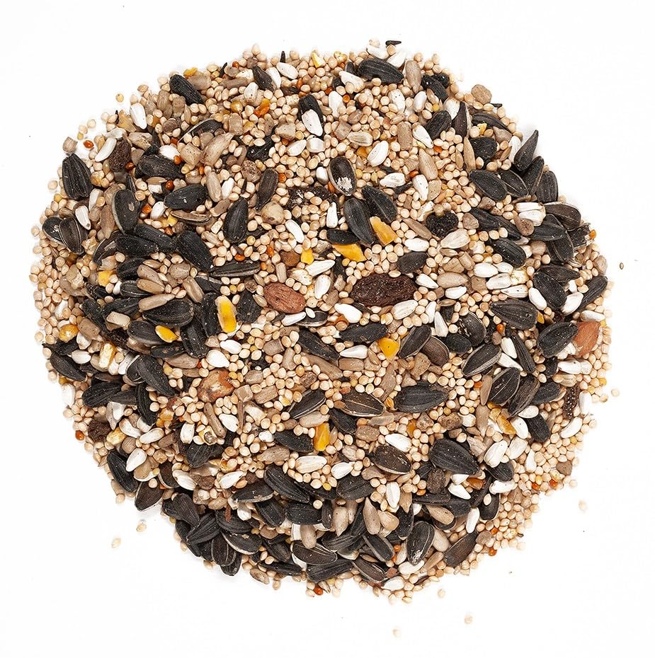 Wagner's 62034 Greatest Variety Blend Wild Bird Food, 6-Pound Bag - view 4