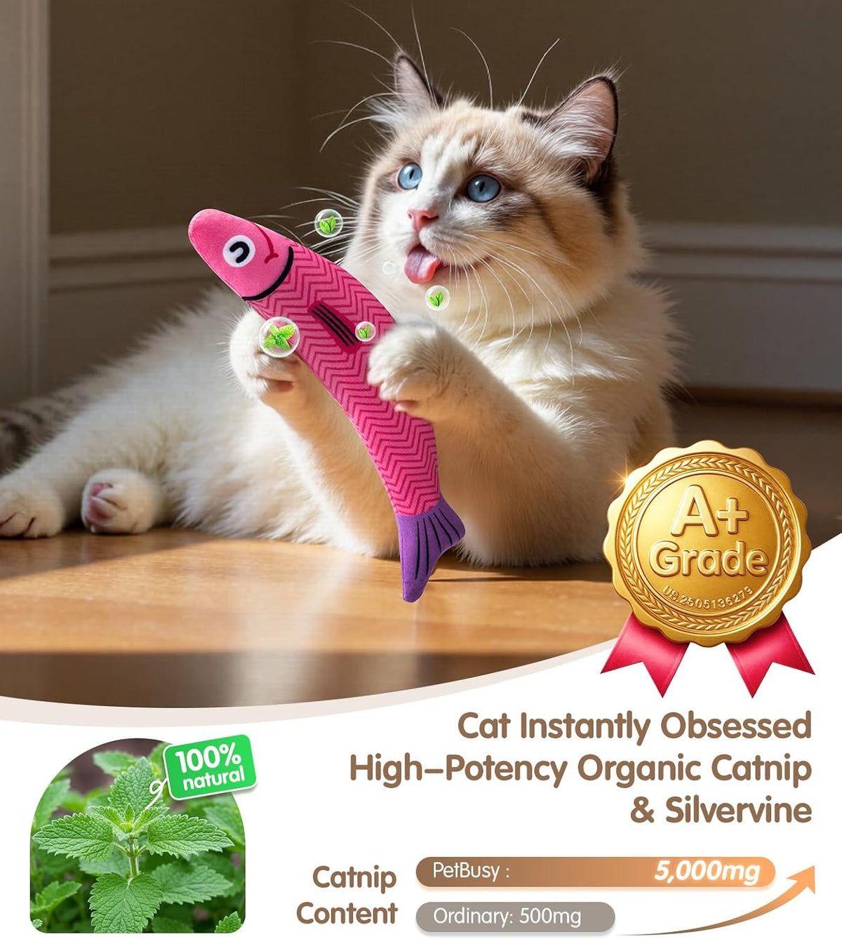 Cat Toys with[5000mg A+Natural Catnip &Silvervine] [Baby Grade] Interactive Soft Chew Kicker Cat Toys for Indo - view 2