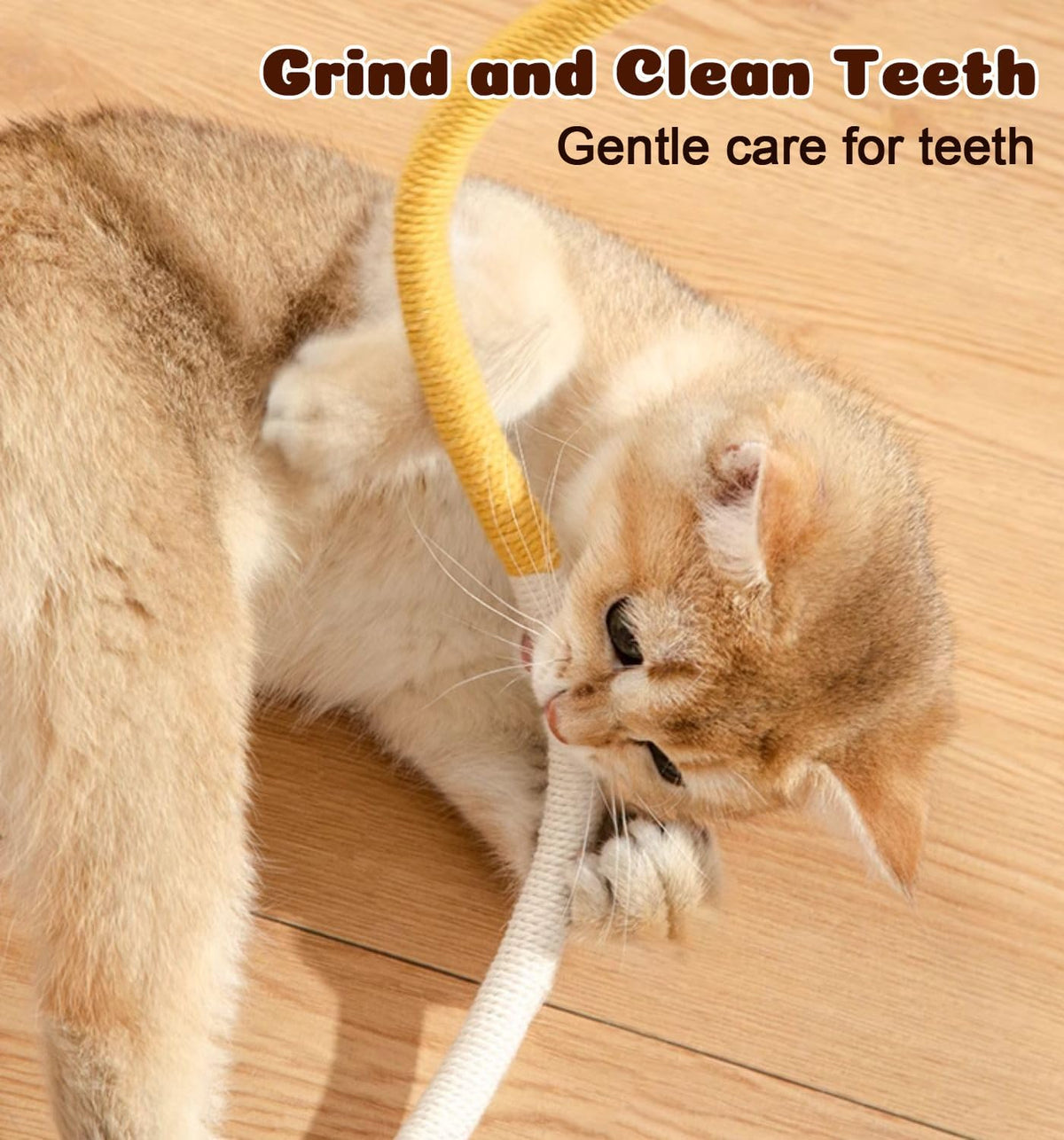 Dgerp Cat Chew Ropes 4Pcs, Cat Toys for Indoor Cats with Refillable Natural Catnip, Safe Teeth Cleaning Chew T - view 4