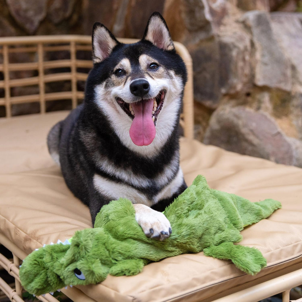 Best Pet Supplies Squeaky Dog Toys with Soft Durable Fabric for Small, Medium and Large Pets Interactive Toy f - view 6