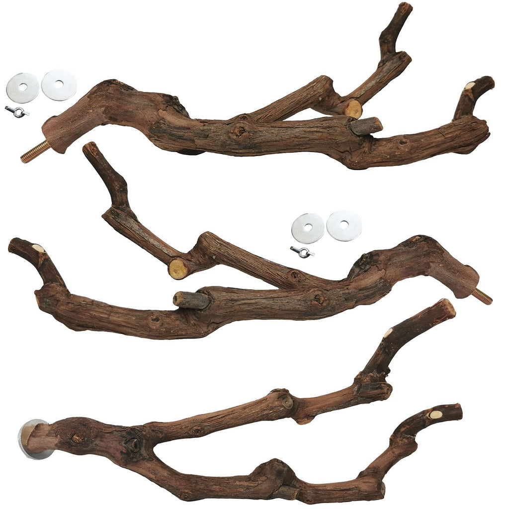 kathson Natural Parrot Perch Bird Stand Pole Wild Grape Stick Paw Grinding Fork Parakeet Climbing Standing Bra