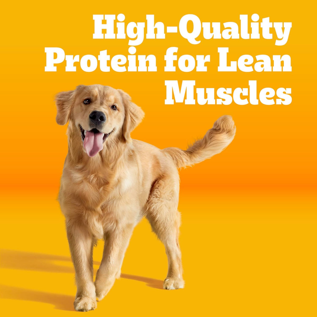 Pedigree High Protein Adult Dry Dog Food, Beef and Lamb Flavor, 18 lb. Bag - view 2