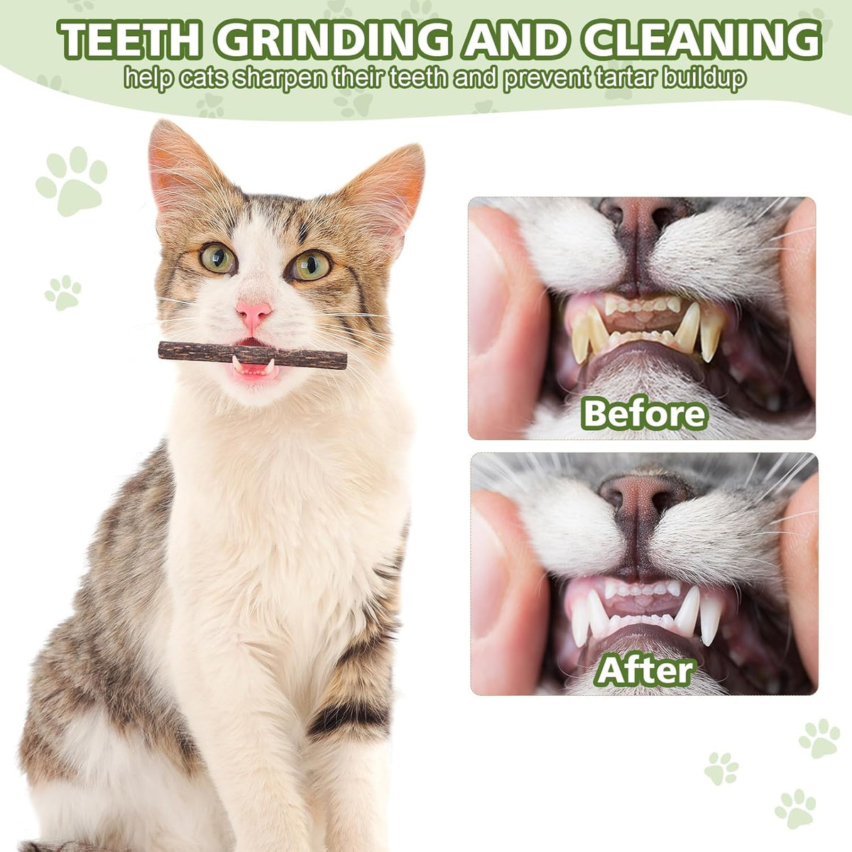 WOUSEDO 6 Pack Silvervine Sticks Cat Toy, Natural Chew Stick for Dental Care Teeth Cleaning,Matatabi Cat nip T - view 5