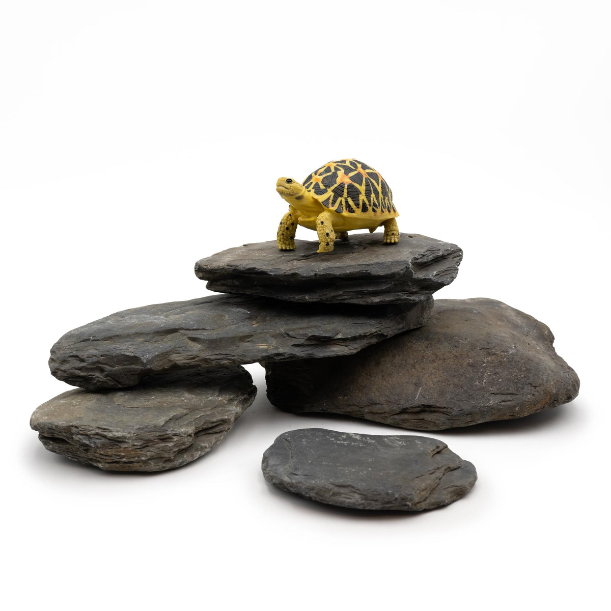 Aquarium Stone Natural Slate Stream Turtle Tank Rocks 3-7 inches Fish Rock for Aquarium Aquascaping Shrimp Tan