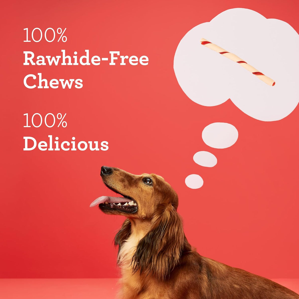 DreamBone Twist Sticks, Made With Real Chicken, Rawhide-Free Chews for Dogs, 50 Count - view 4
