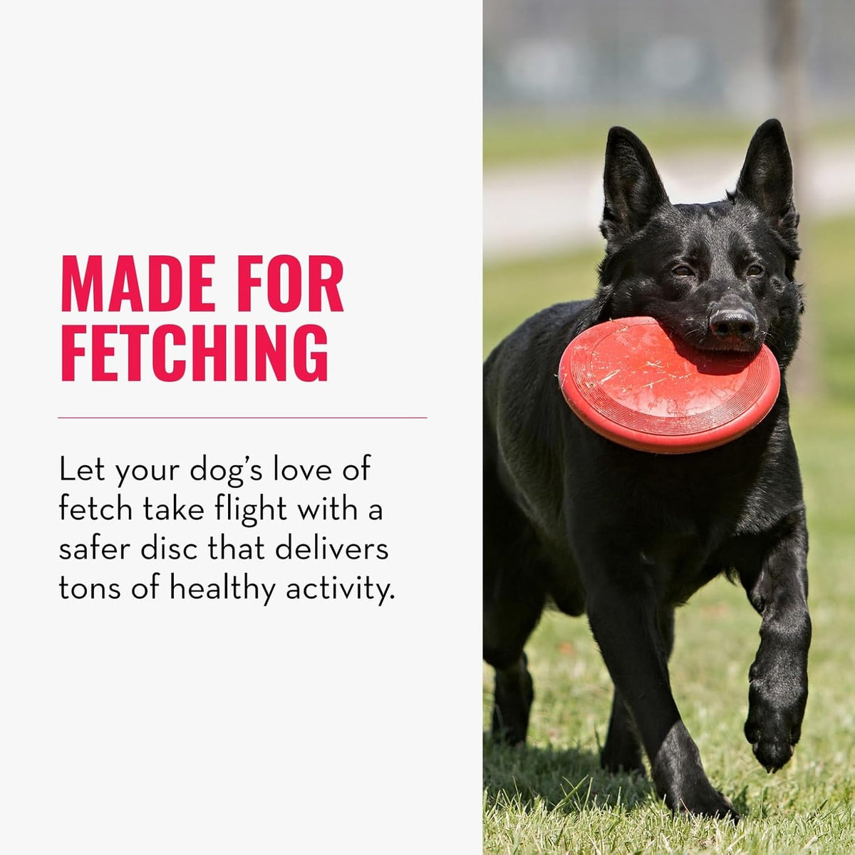 KONG Flyer - Durable Dog Toy for Outdoor Playtime - Natural Rubber Flying Disc, Dog Toy for Fetch - Safer Disc - view 3