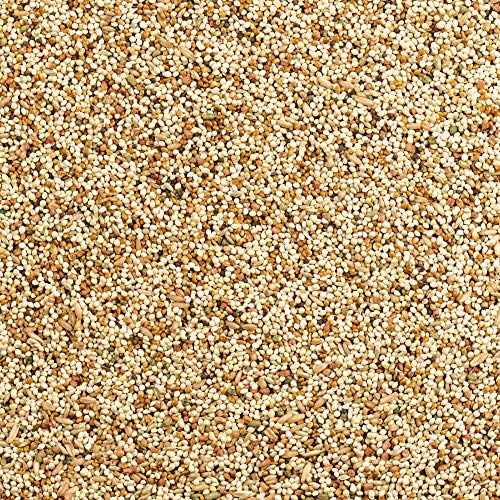 Wild Harvest Daily Blend Nutrition Diet for Parakeet, Canary and Finch 10 Pounds, Orange flavour - view 5