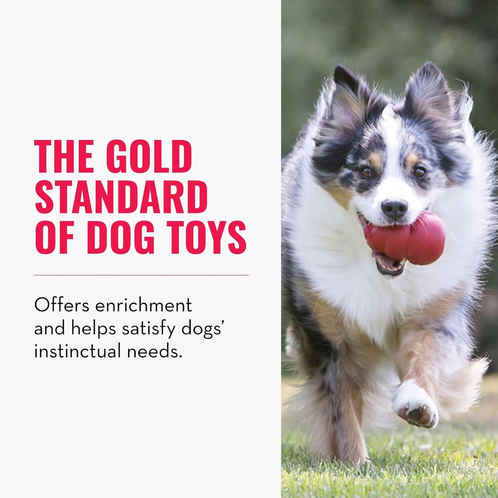 KONG Classic Stuffable Dog Toy - Fetch & Chew Toy for Dogs - Treat-Filling Capabilities & Erratic Bounce for E - view 3