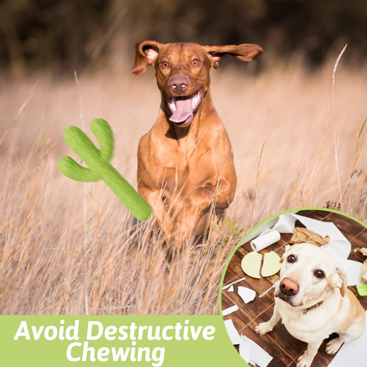 MewaJump Dog Chew Toys, Durable Rubber Dog Toys for Aggressive Chewers, Cactus Tough Toys for Training and Cle - view 5