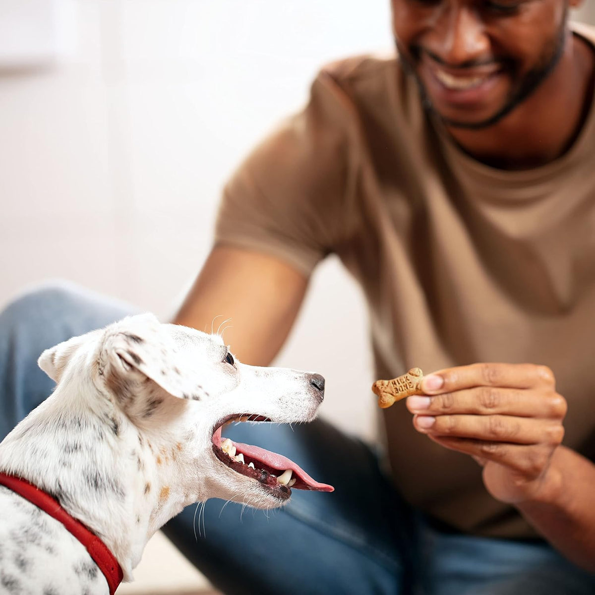 Milk-Bone Mini's Flavor Snacks Dog Treats, 36 Ounce - view 6