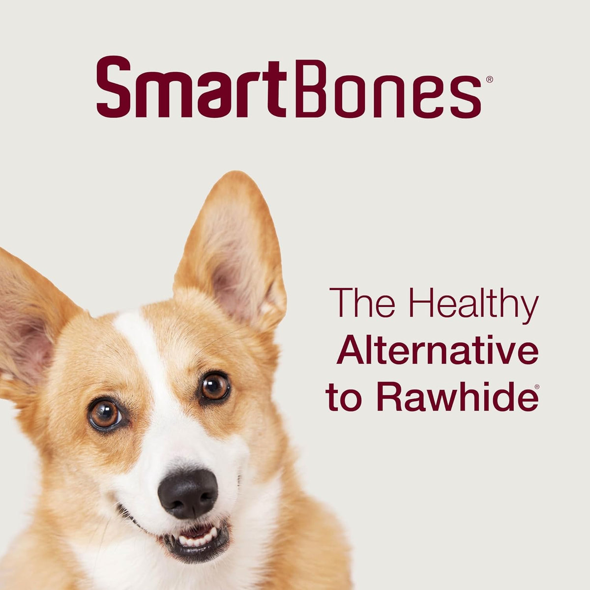 SmartBones SmartSticks With Real Peanut Butter, 25 Count, Treat Your Dog to a Rawhide-Free Chews For Dogs - view 10