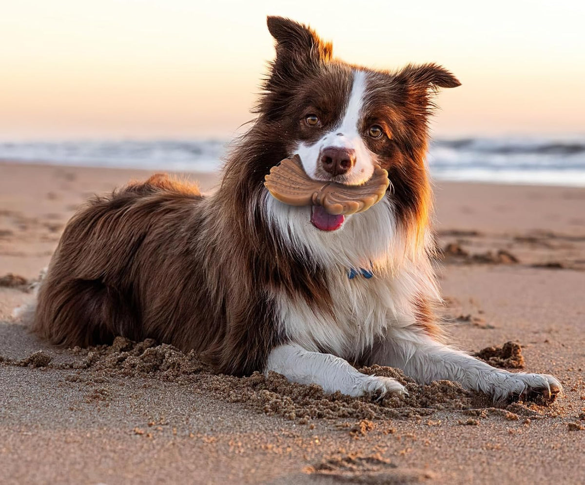 NEZIN Dog Toys for Aggressive Chewers, Indestructible Toys for Large Dogs, Dog Chew for Large Medium Small Bre - view 5