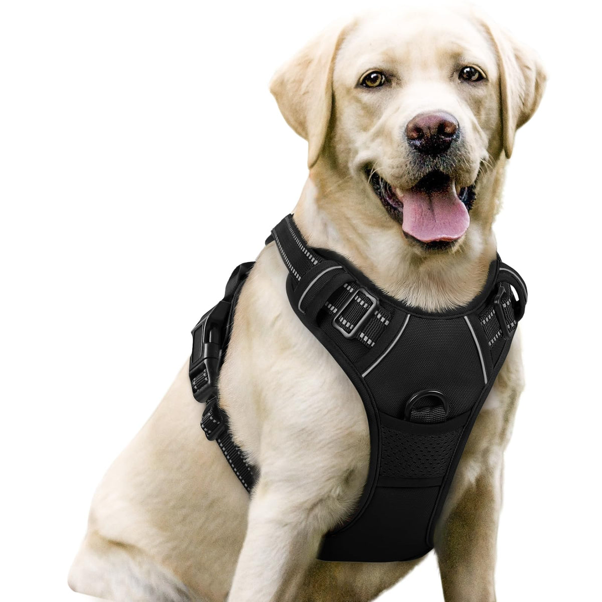 rabbitgoo Dog Harness No Pull with 2 Leash Clips, Adjustable Soft Padded, Reflective Oxford No Choke Pet Vest 