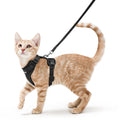 rabbitgoo Cat Harness and Leash for Walking, Escape Proof Soft Adjustable Vest Harnesses for Cats, Easy Contro