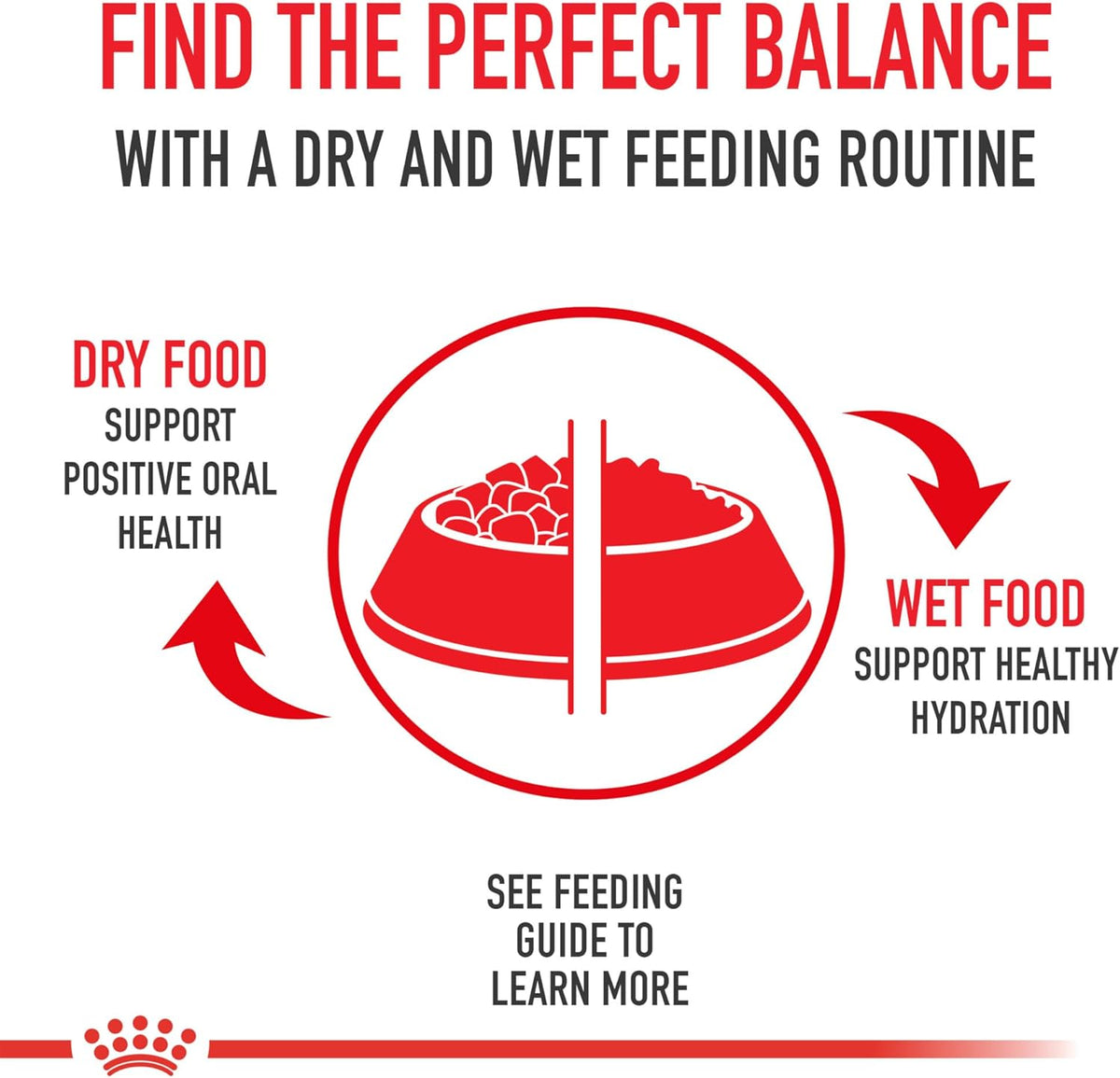 Royal Canin Size Health Nutrition Small Adult Dry Dog Food, 14 lb Bag - view 5