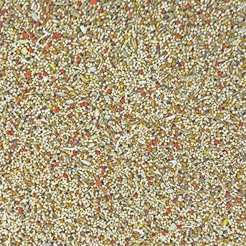 Higgins 2 Pack of Sunburst Gourmet Blend Parakeet Food, 2 Pounds Each, with Protein Egg Food - view 3