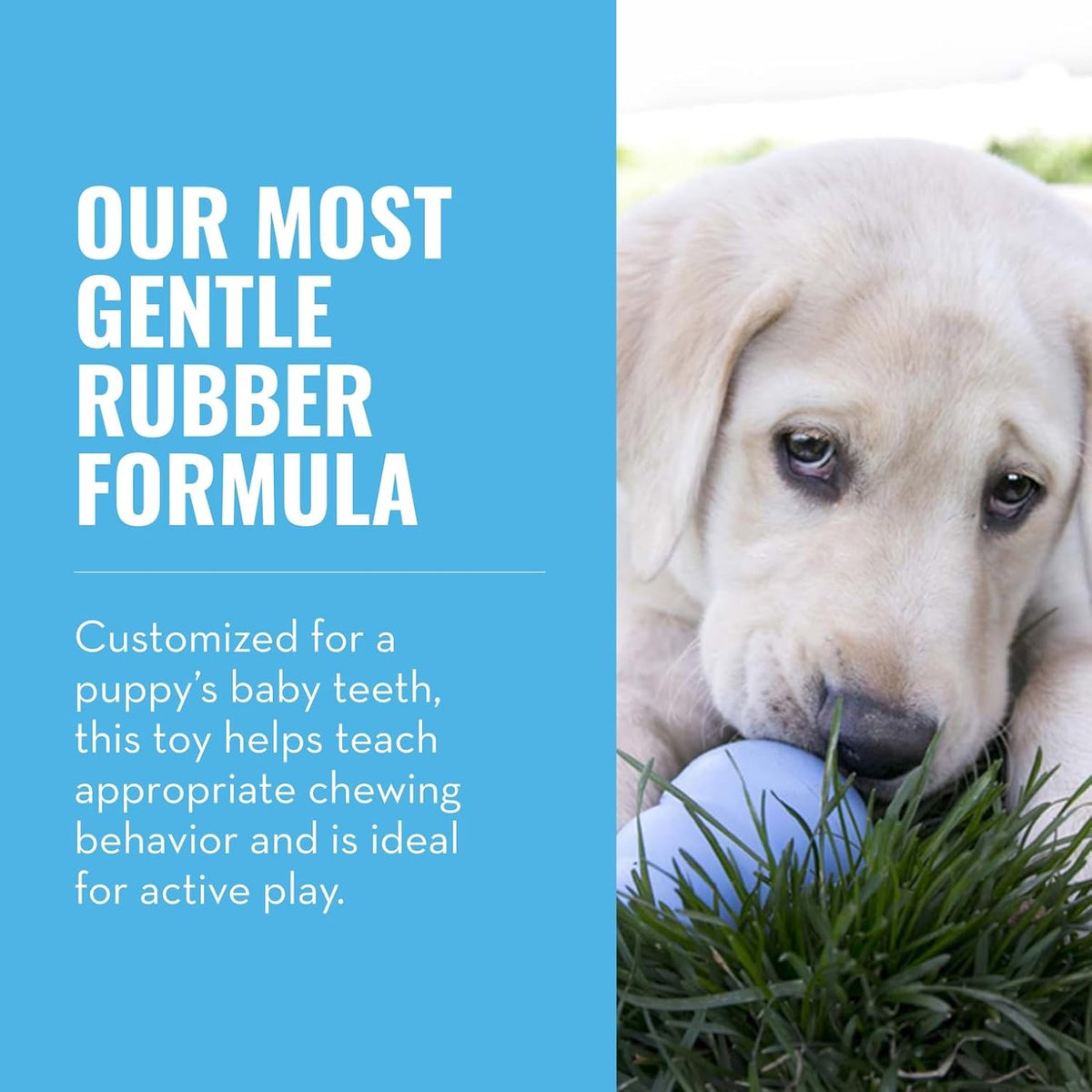 KONG Puppy - Natural Teething Rubber Chew Toy for Dogs - Stuffable Dog Toy for Extended Playtime - Chew & Fetc - view 3