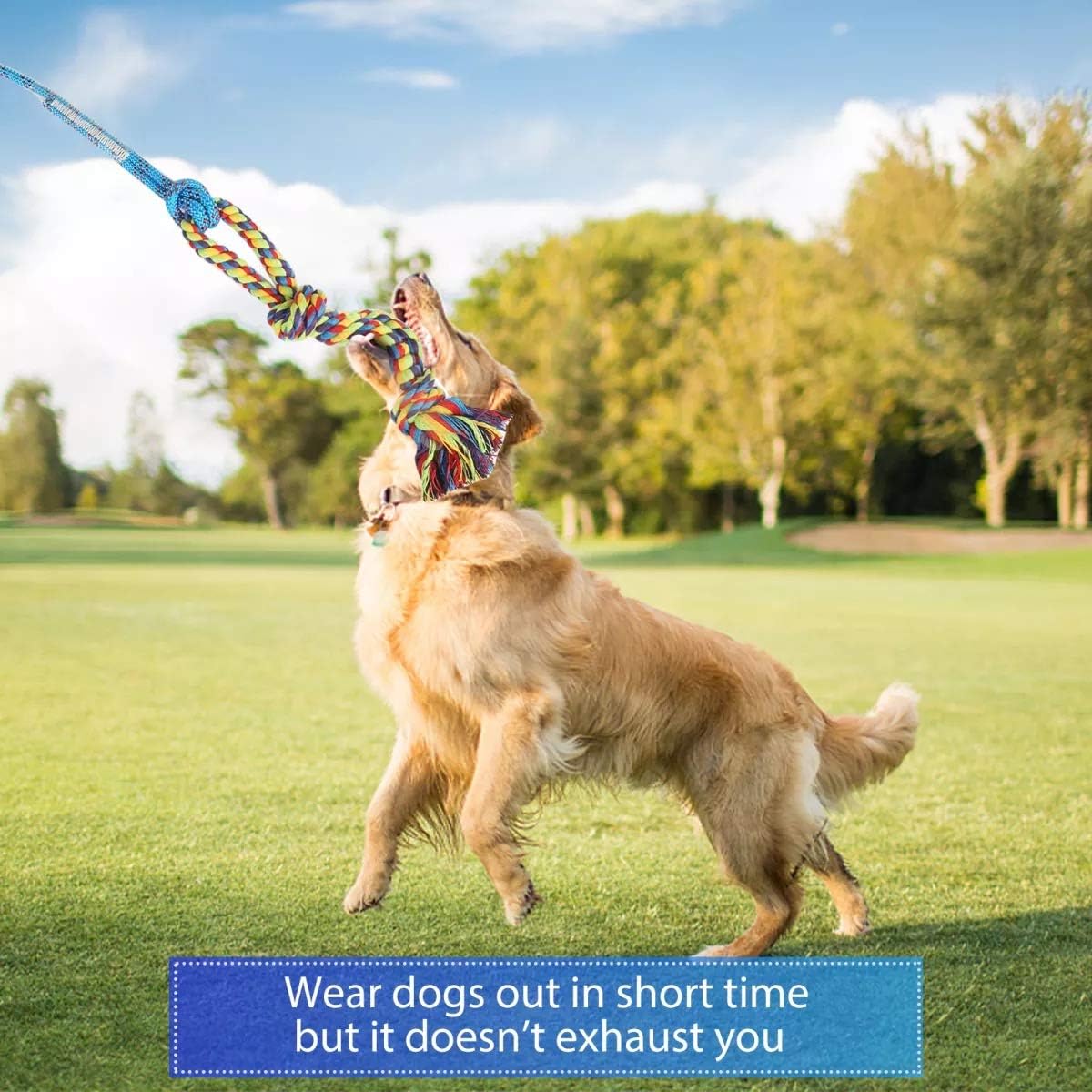 DIBBATU Flirt Pole for Dogs Interactive Dog Toys for Large Medium Small Dogs Chase and Tug of War, Dog Teaser  - view 4