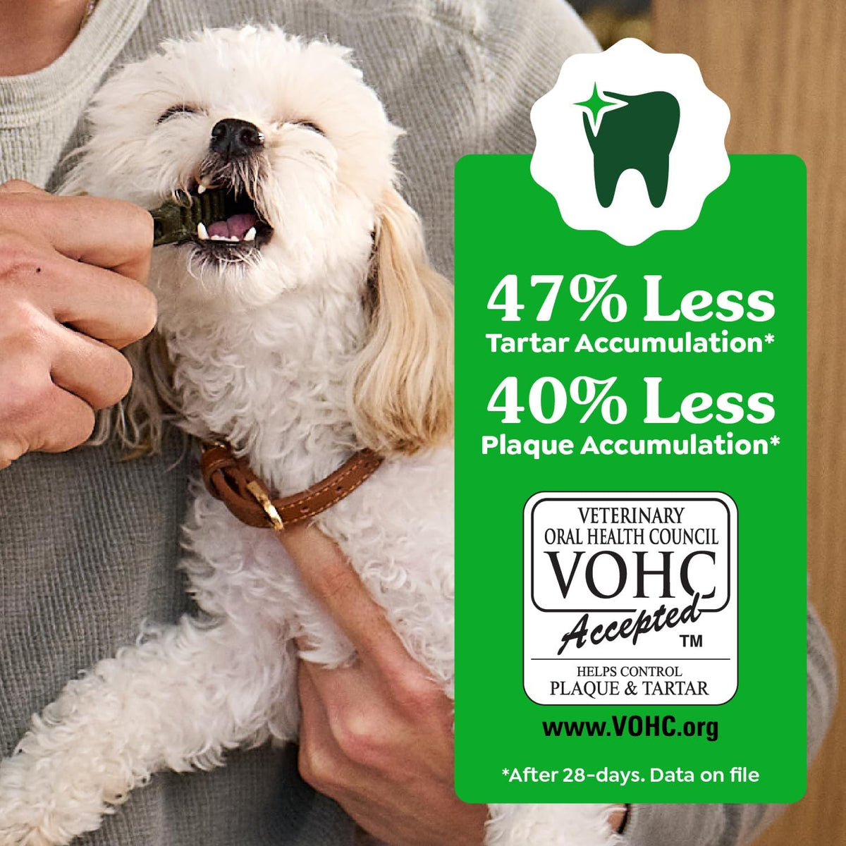 Greenies Veterinarian-Recommended Adult Natural Dental Dog Treats Petite Size, Original Flavor, 36 oz. Pack, 6 - view 5