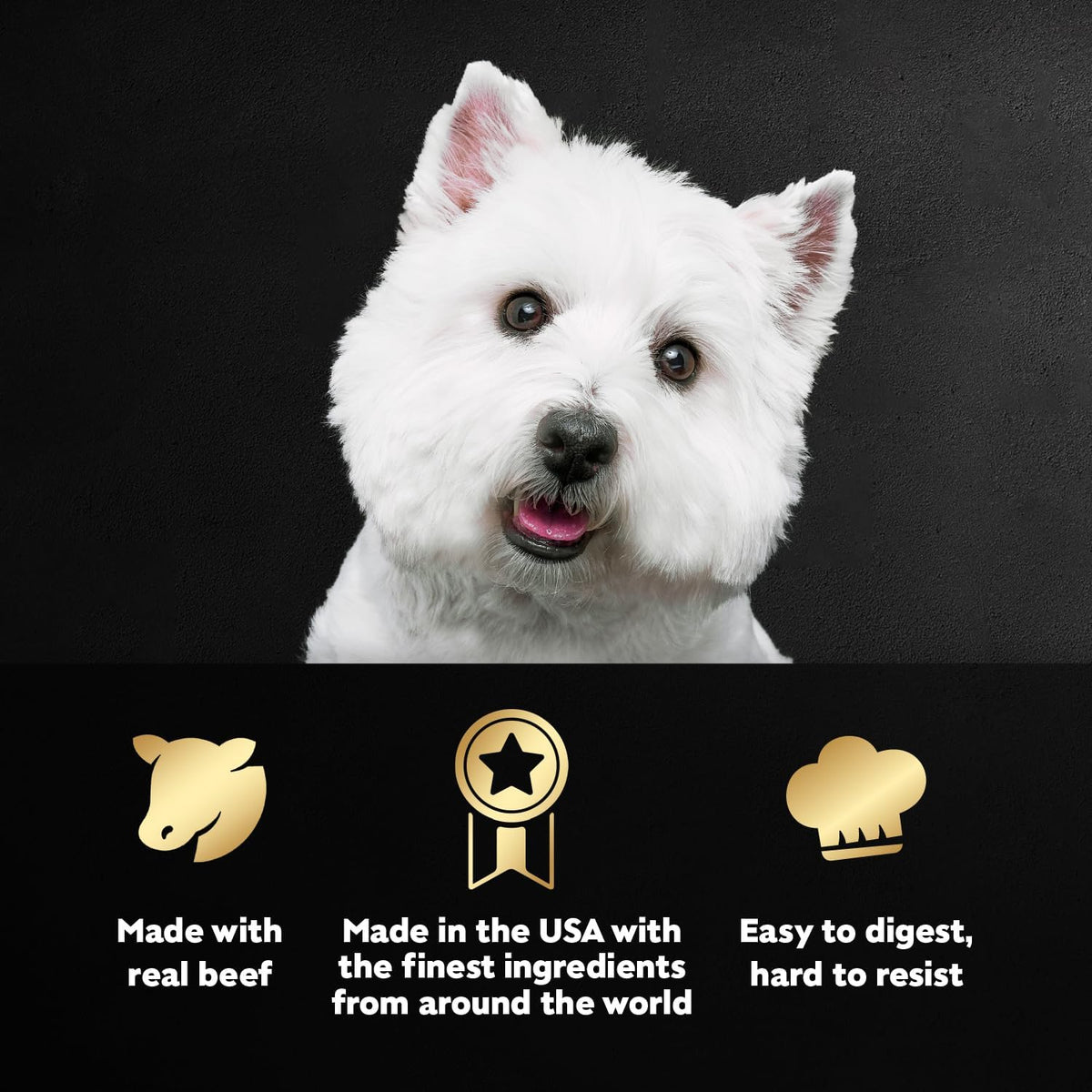 Cesar Wet Dog Food Steak Lovers Variety Pack, Adult, Wet Food for Dogs with Real Meat, 3.5 oz Easy Peel Trays, - view 2