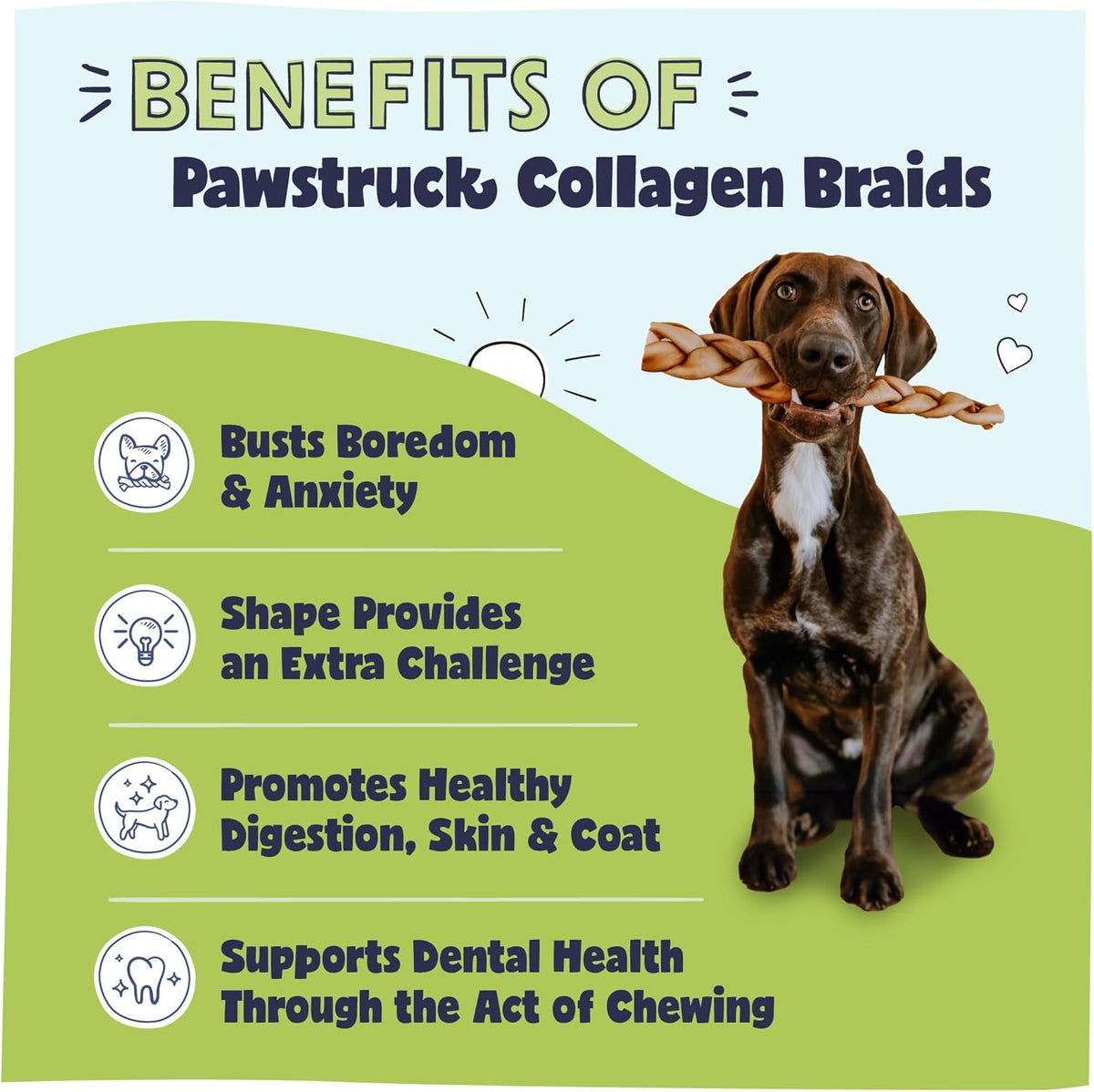 Pawstruck Natural Large 10-13” Beef Collagen Braids for Dogs – Long-Lasting Rawhide & Bully Stick Alternative, - view 2